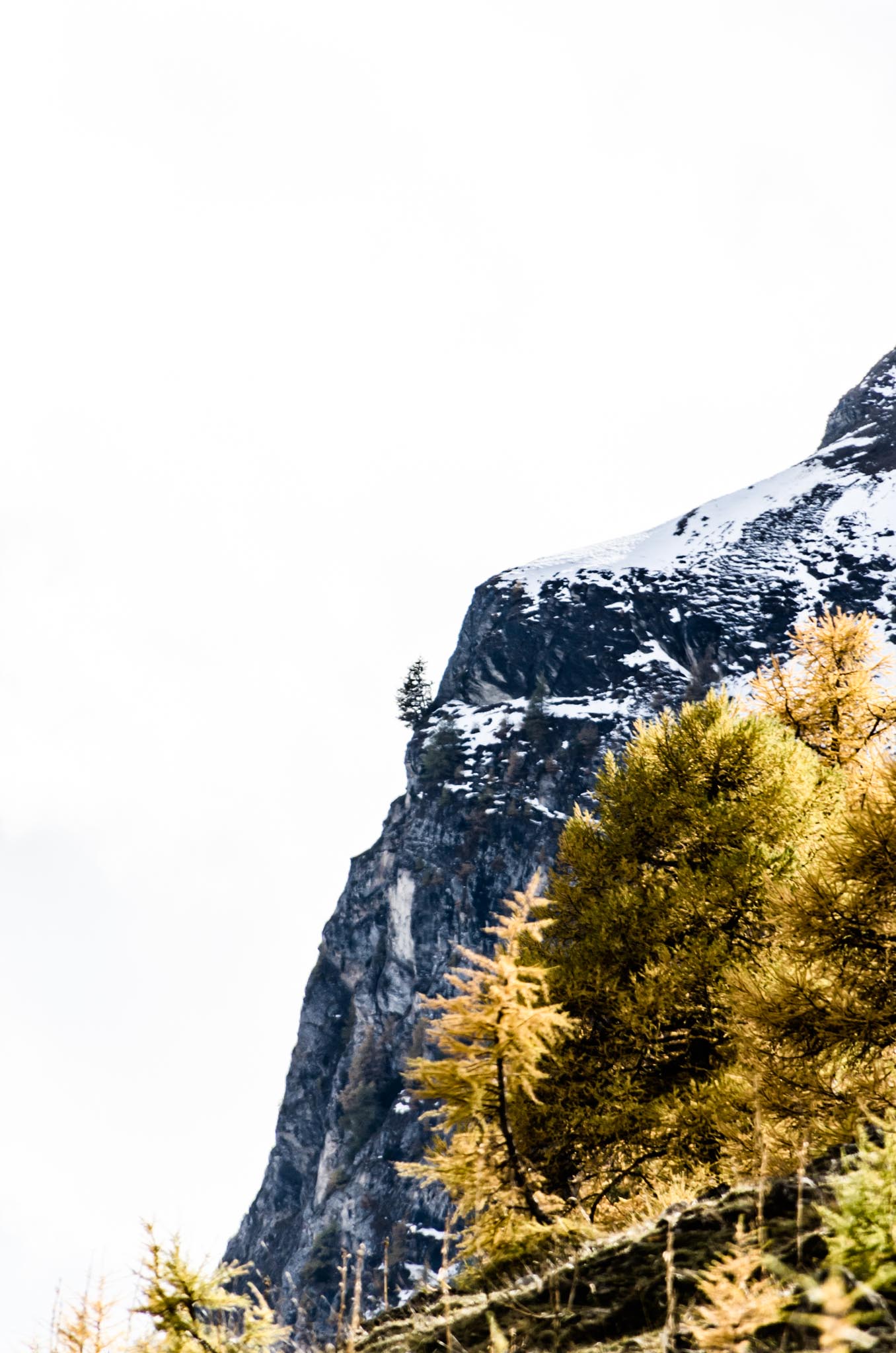 _DSC6922-edit.jpg